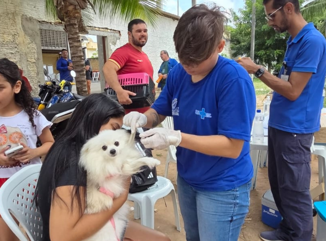 Campanha Antirrábica 2025: veja onde vacinar cães e gatos neste sábado (20) em Natal