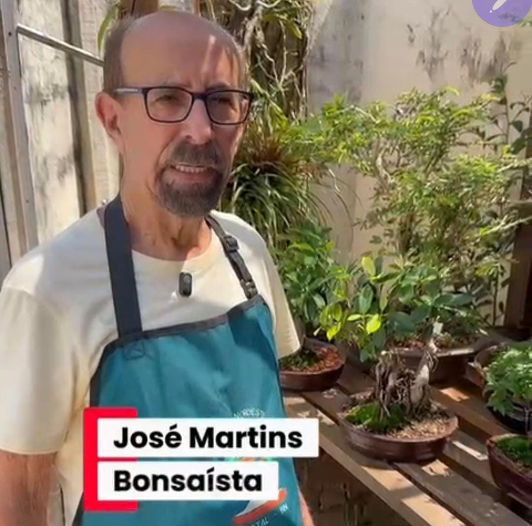 É PRIMAVERA: Terá início nesta quinta-feira, 25, a “Exposição Beneficente de Bonsai”, na sede da Amico