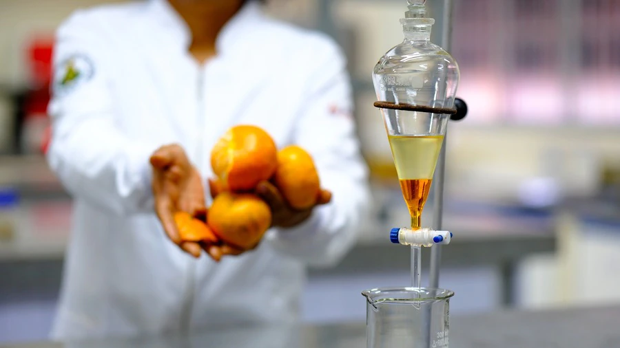 Pesquisadores da UFRN criam catalisador de casca de tangerina para biodiesel