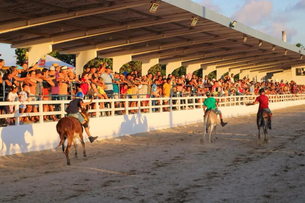 Macaíba realiza 1ª edição da Corrida de Jegue em programação festiva