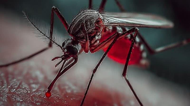 Dengue em alta: casos prováveis e já confirmados disparam no RN
