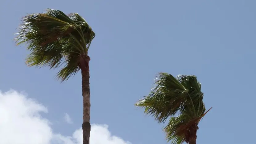 Marinha alerta para ventos de até 55 km/h no litoral do RN até esta quarta-feira