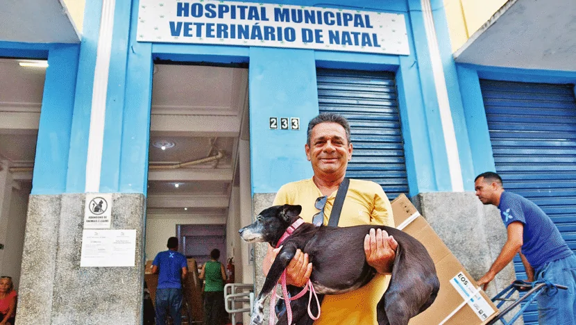 Hospital Veterinário de Natal completa 1 ano com quase 30 mil procedimentos