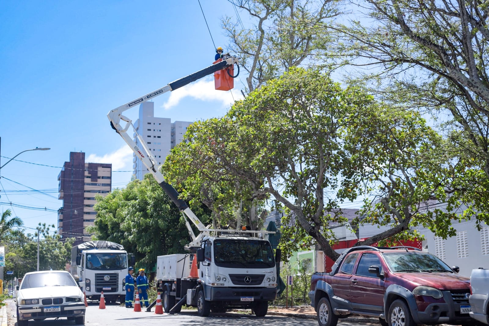 Prefeitura do Natal ultrapassa 10 mil ações de manejo arbóreo em 2025