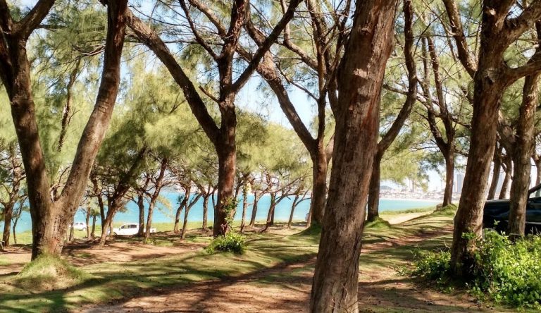 RN contrata obra de R$ 16,7 milhões para construir Costeira Parque na Via Costeira