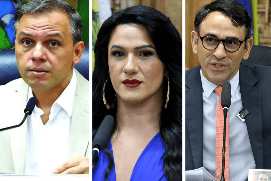 Confira a projeção de cada um dos votos de vereadores na cassação de Brisa na Câmara
