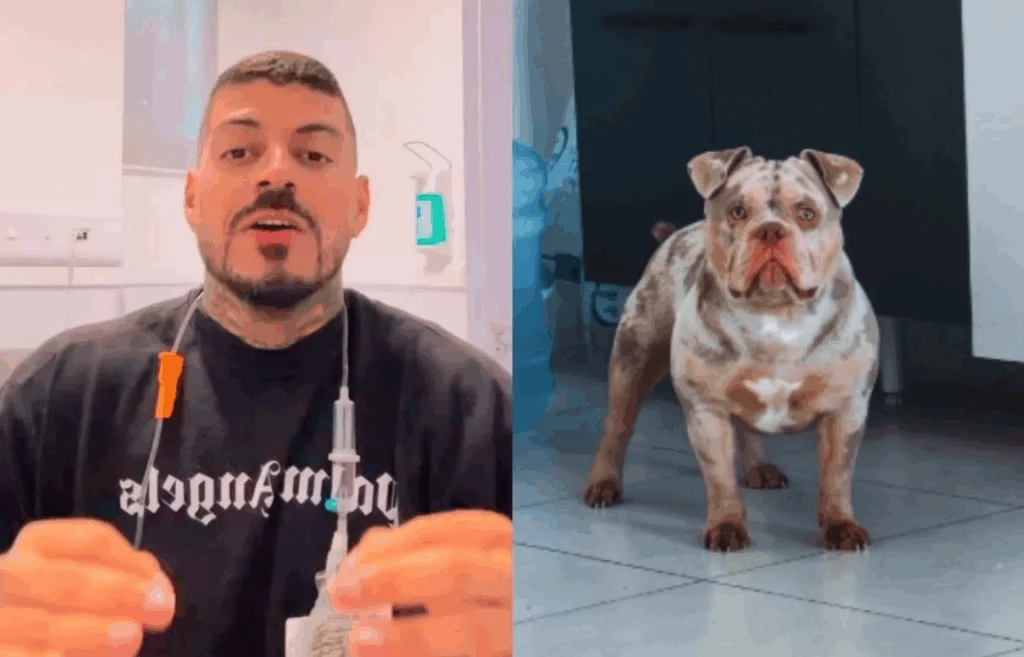Influenciador acorda sem dedo e descobre que seu cachorro comeu