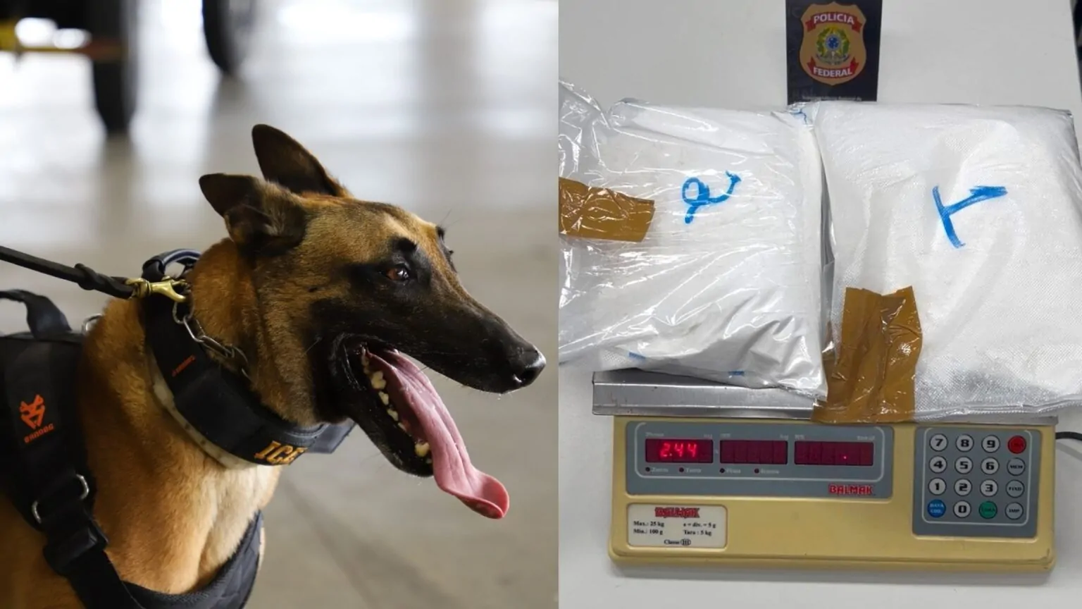 PF apreende 2,4 kg de cocaína em bagagem no Aeroporto de Natal com destino à Europa