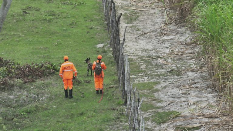 Corpo de Bombeiros registra mais de 5 mil ações de captura e salvamentos de animais no RN