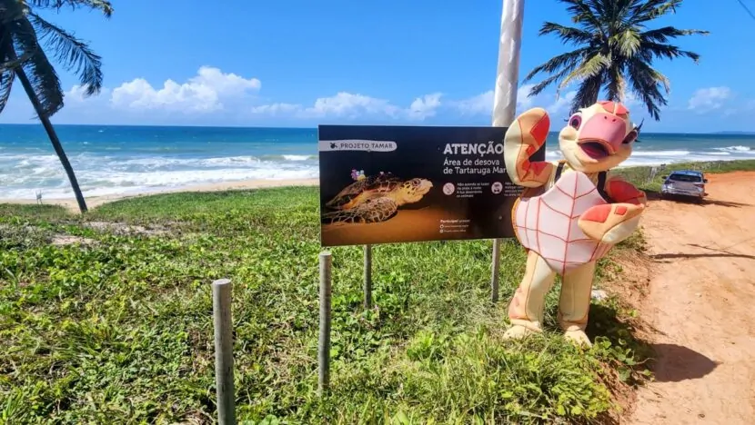 Projeto Tamar abre temporada de desova das tartarugas marinhas em Pipa