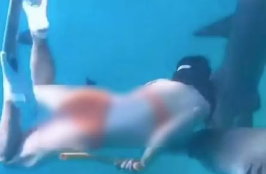 Turista é atacada por tubarão nas Maldivas durante aula de mergulho
