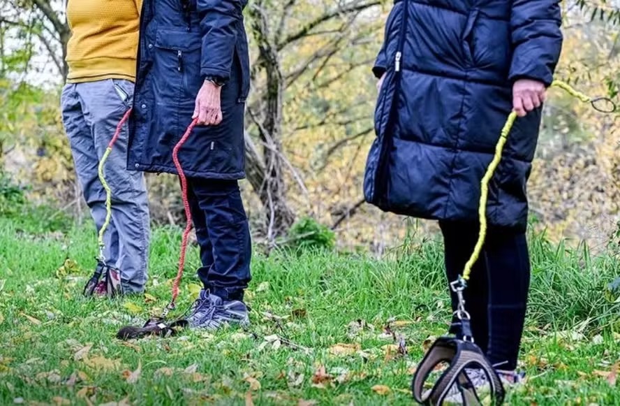 'Hobby dogging': prática de passear com 'cães invisíveis' vira febre na Alemanha e divide opiniões