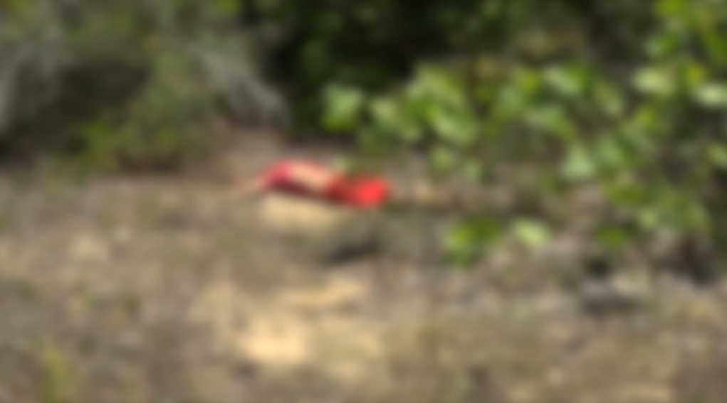 Corpo de homem é encontrado em área de mata em Felipe Camarão