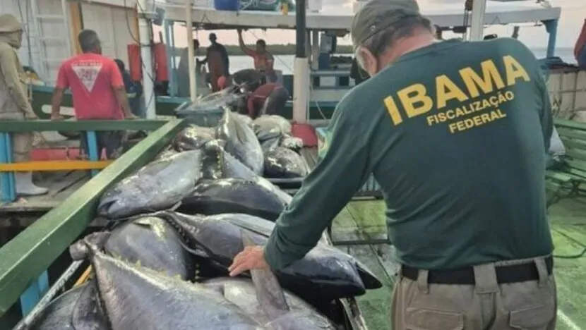 Ibama apreende 2,32 toneladas de pescado e aplica mais de R$ 122 mil em multas no RN