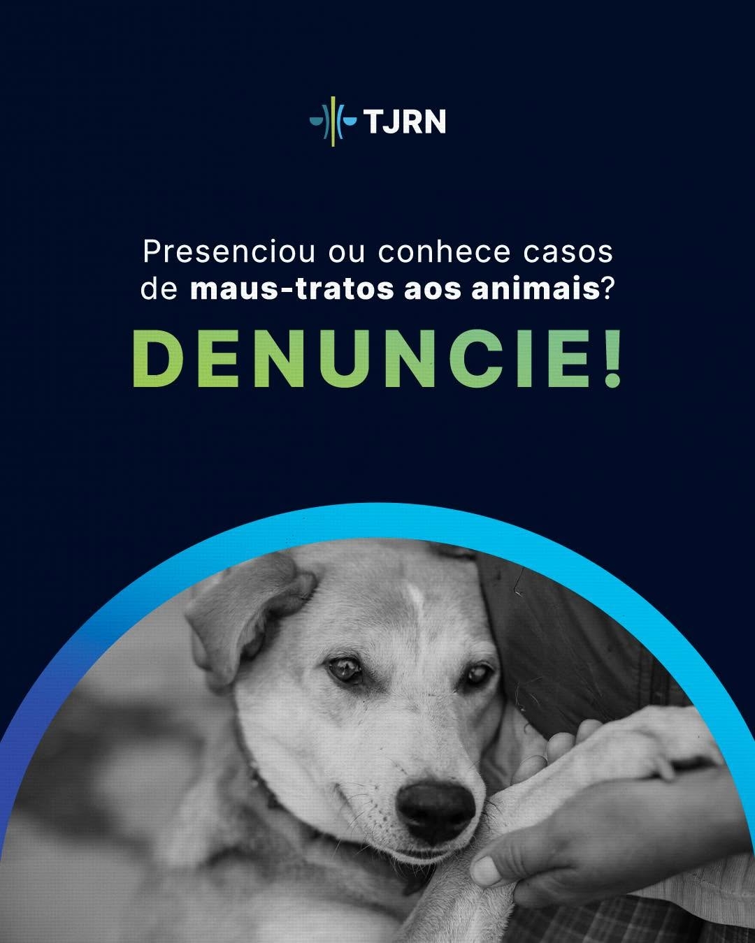 TJRN lança campanha para incentivar denúncias de maus-tratos aos animais no RN