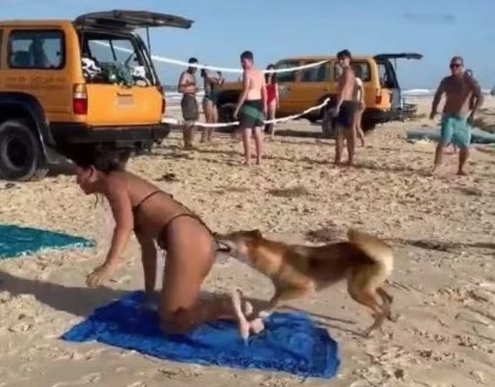 Mistério na Austrália: autópsia não esclarece causa da morte de turista achada com mordidas de dingos