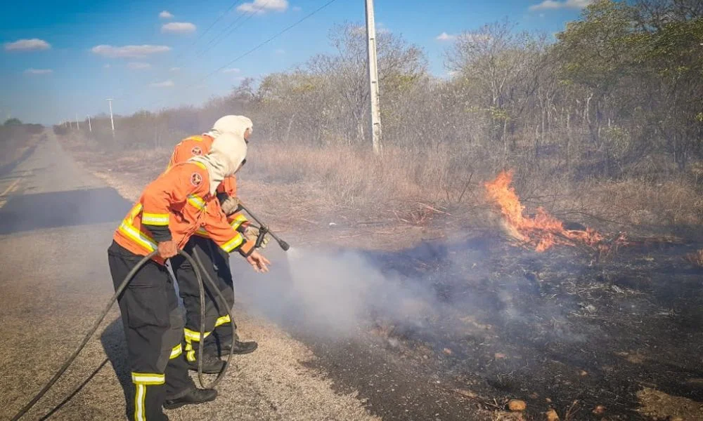 Aumenta o número de ocorrências de incêndio em vegetação na região Oeste do RN