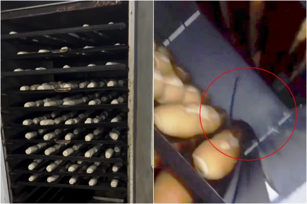 Dono de supermercado é preso após fiscalização flagrar ratos andando em cima de pães