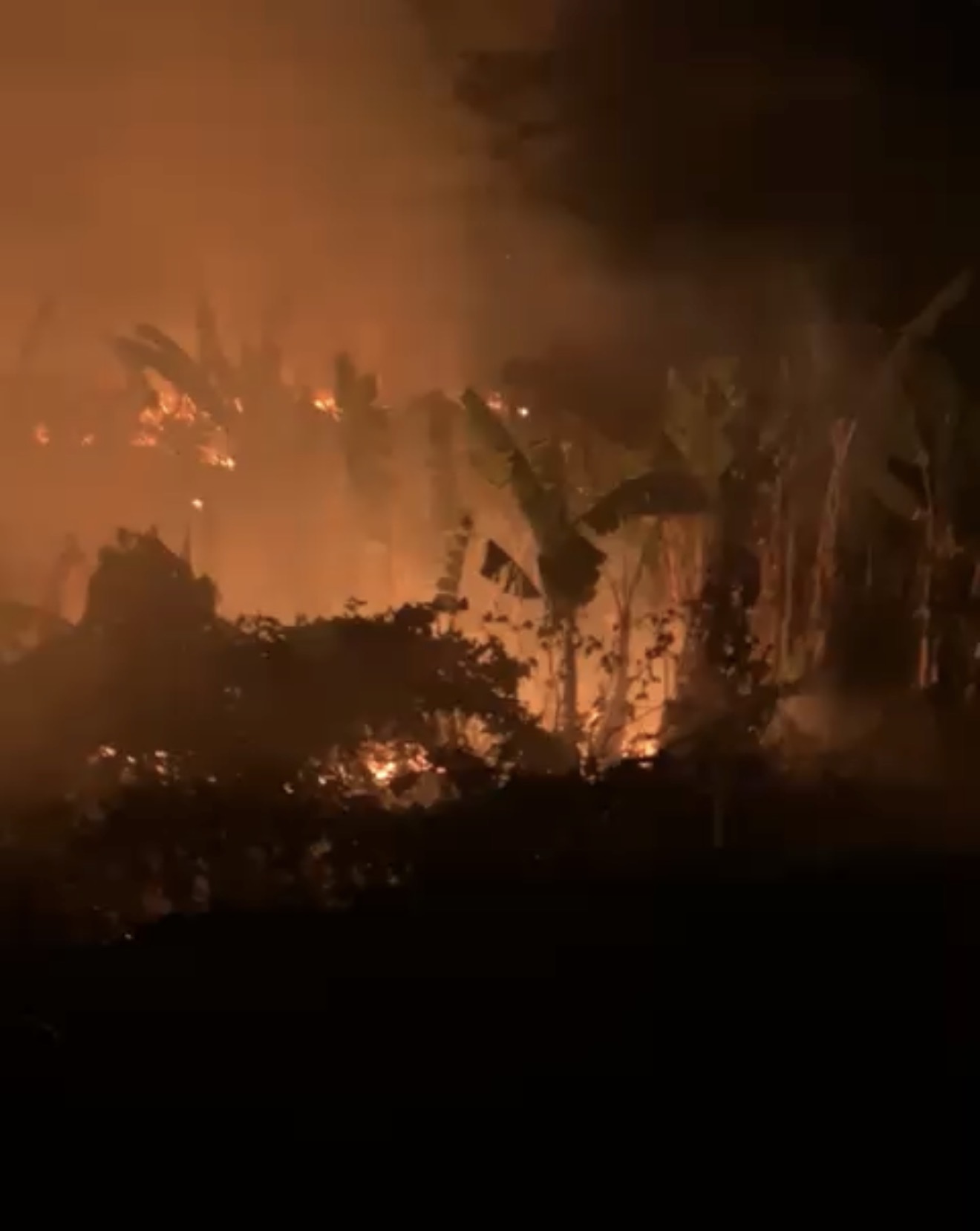 Incêndio de grandes proporções atinge área de vegetação na entrada de Canguaretama