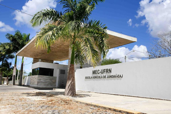 UFRN realiza leilão de ovinos e caprinos em Macaíba entre 17 e 29 de janeiro