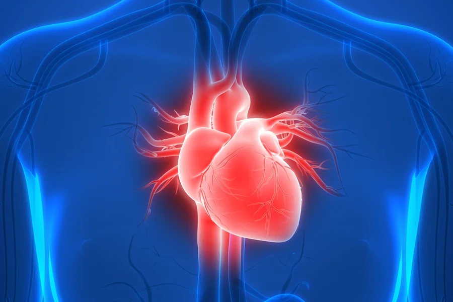 Cardiologista aponta os riscos da cerveja para a saúde do coração