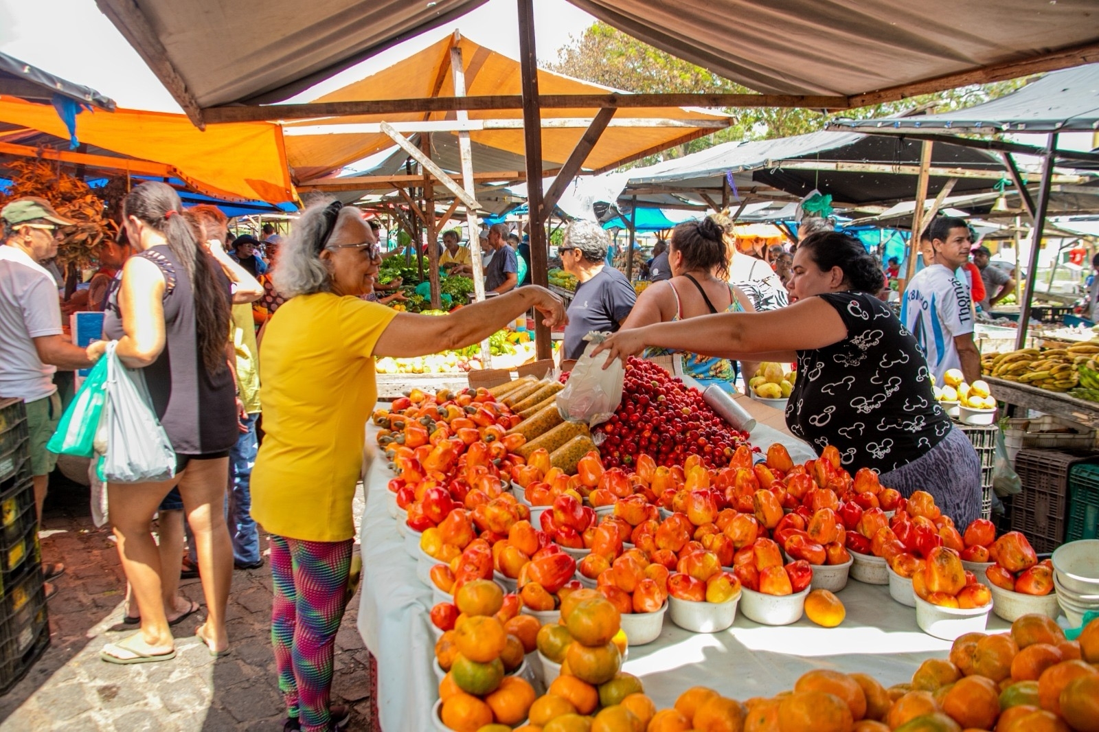 Semsur divulga funcionamento de mercados, camelódromos e feiras durante o Carnaval 2026 em Natal