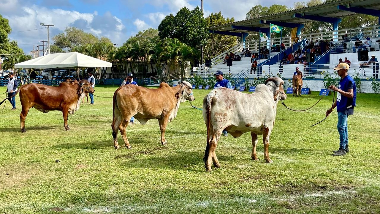 RN terá 51 eventos de agropecuária em 2026 e expande calendário do setor produtivo