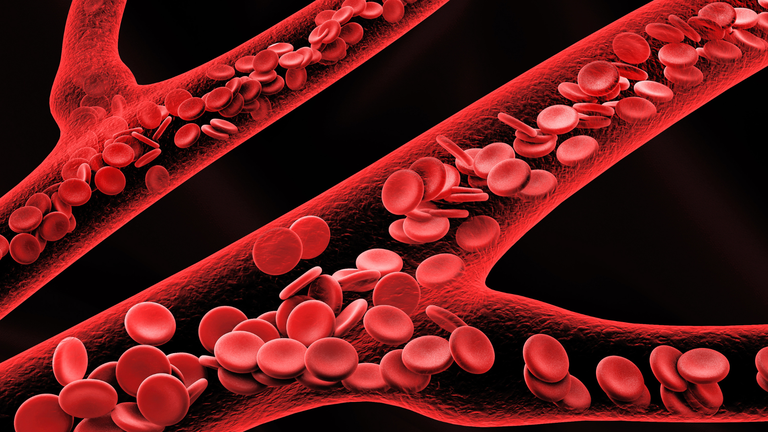 HUOL-UFRN recruta crianças com anemia grave para estudo sobre doença rara