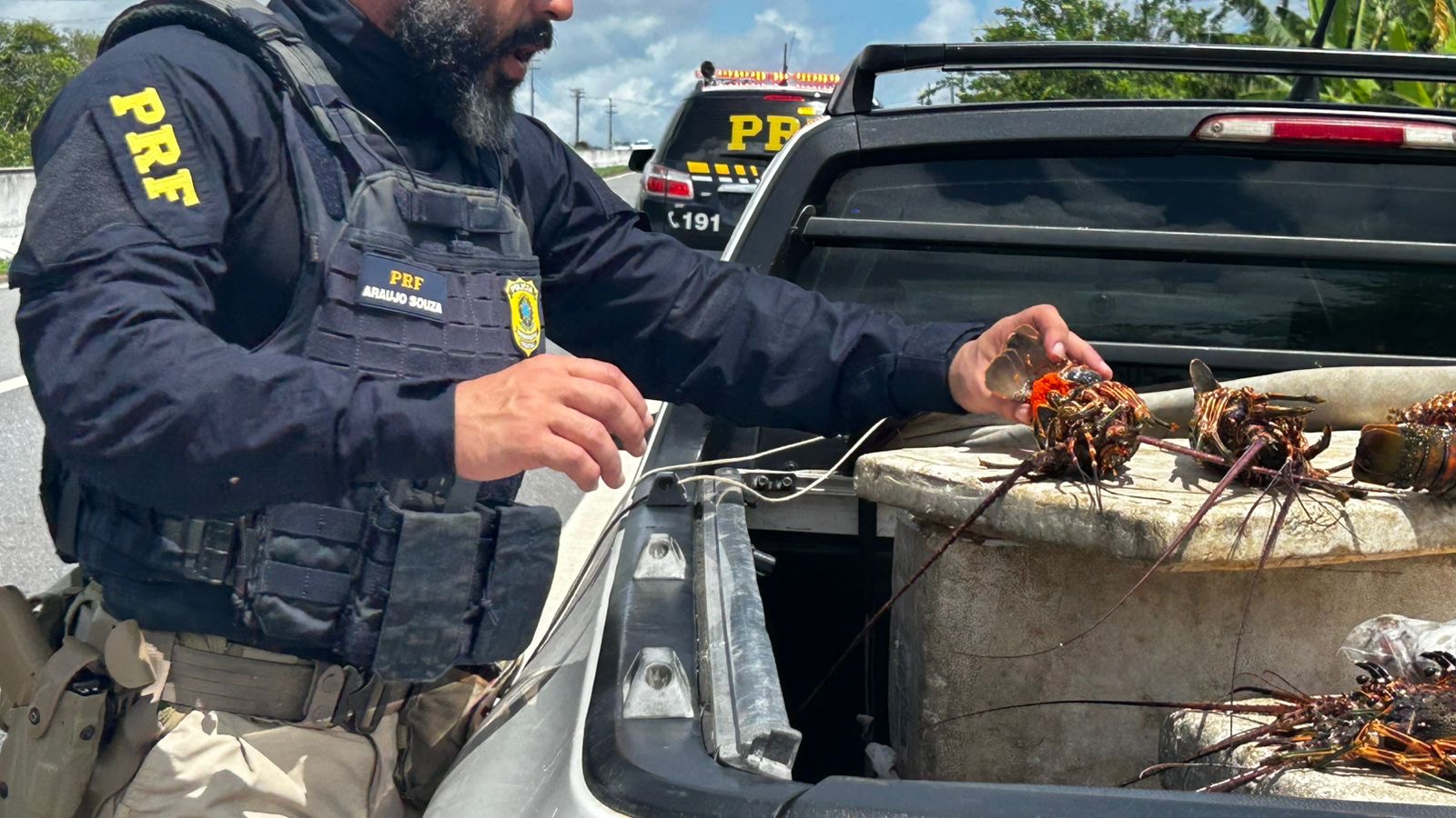 PRF apreende cerca de 40 kg de lagosta ovada durante defeso na BR-101