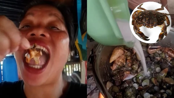 Influenciadora de comida morre após comer 'caranguejo do diabo' em vídeo