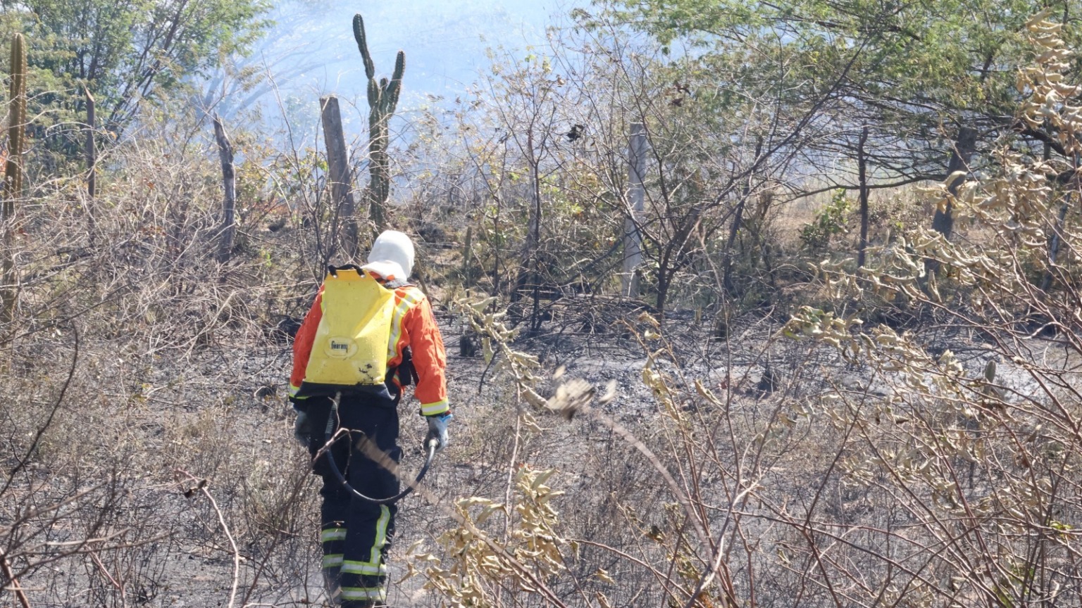 Incêndios em vegetação crescem 57,5% no RN e bombeiros reforçam alerta