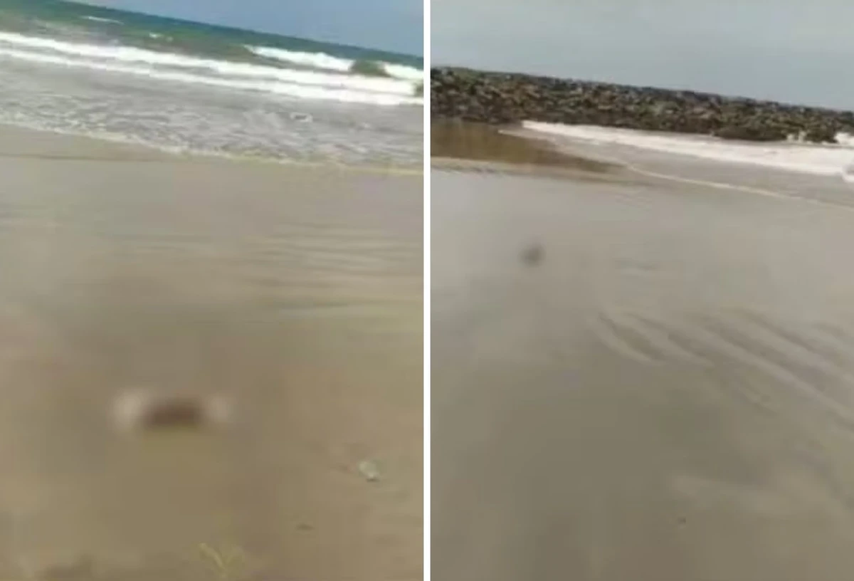Banhistas encontram cabeça e pernas em praia de Fortaleza: terceiro caso só em março