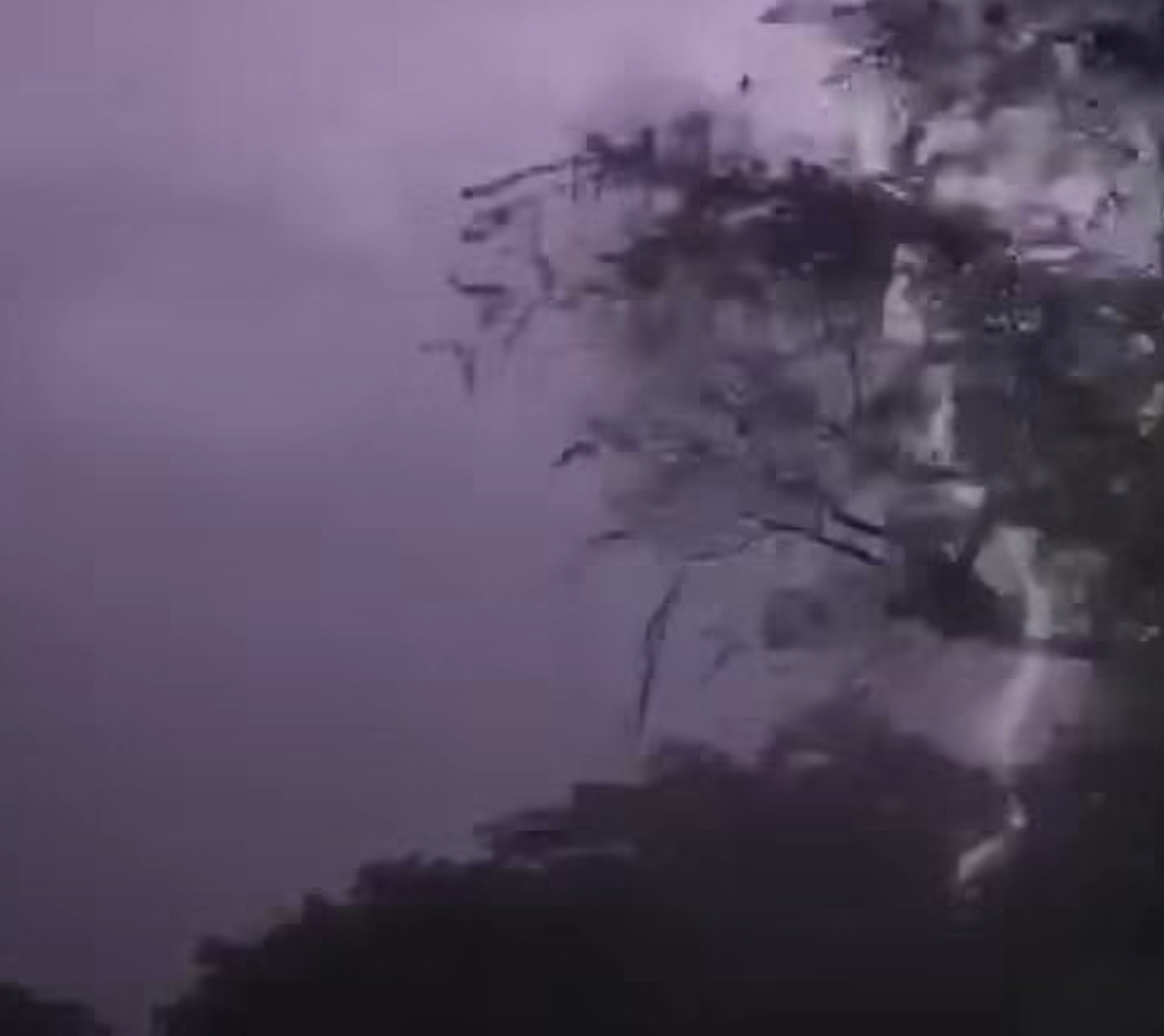Raio durante tempestade mata pelo menos 10 vacas na zona rural do RN