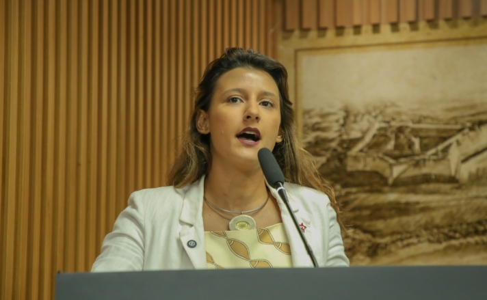 Brisa depõe e pede arquivamento de processo de cassação por prazo estourado