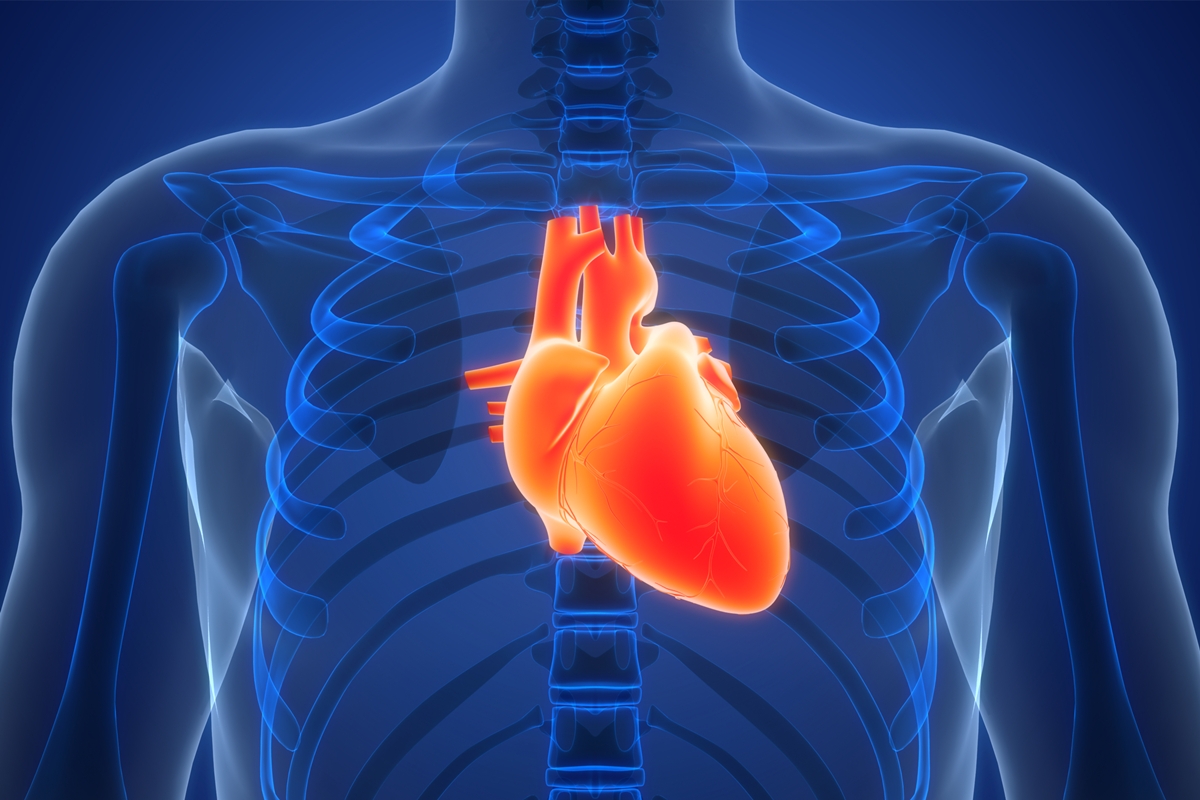 Cardiologista alerta: 5 hábitos esgotam seu coração