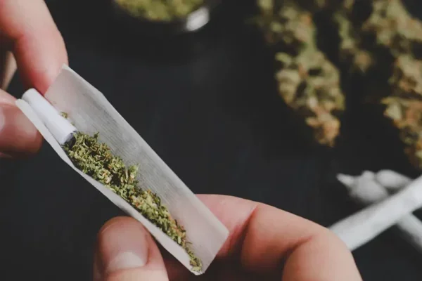 Estudo da Universidade Estadual do Oregon associa uso de Cannabis a alterações no cortisol