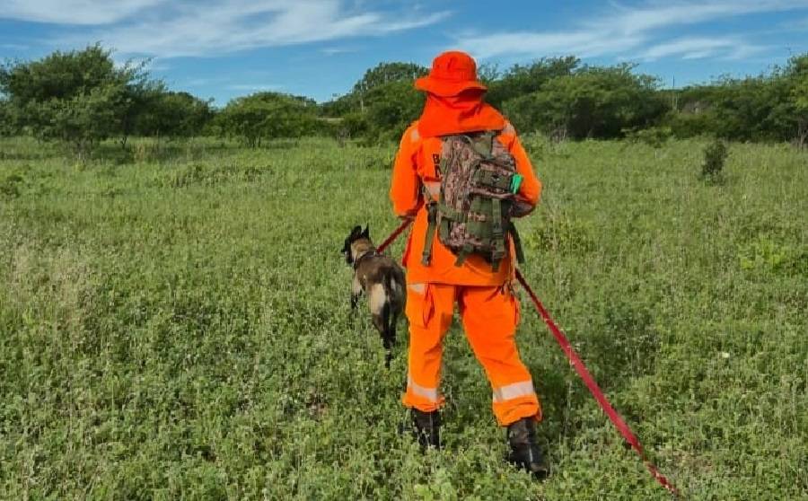 Bombeiros do RN encontram homem desaparecido no Agreste