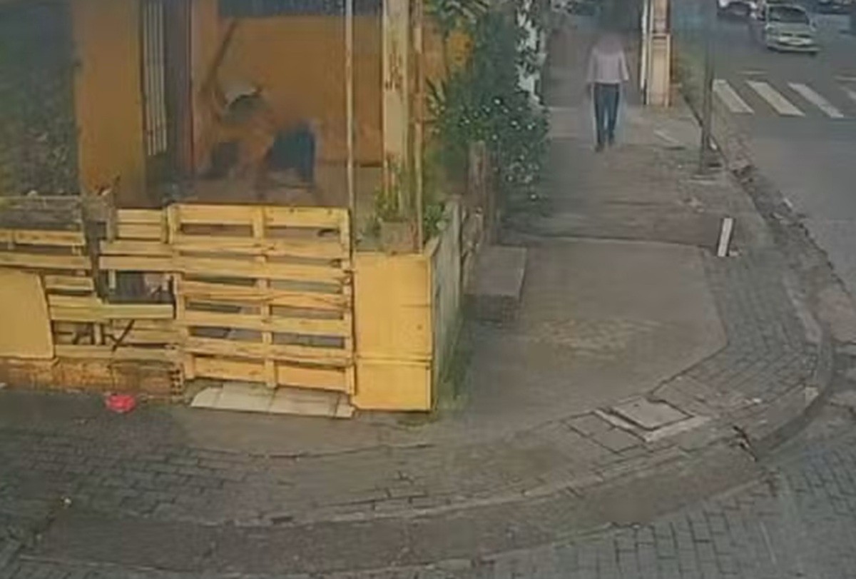Homem em situação de rua é assassinado em via pública em Boa Viagem