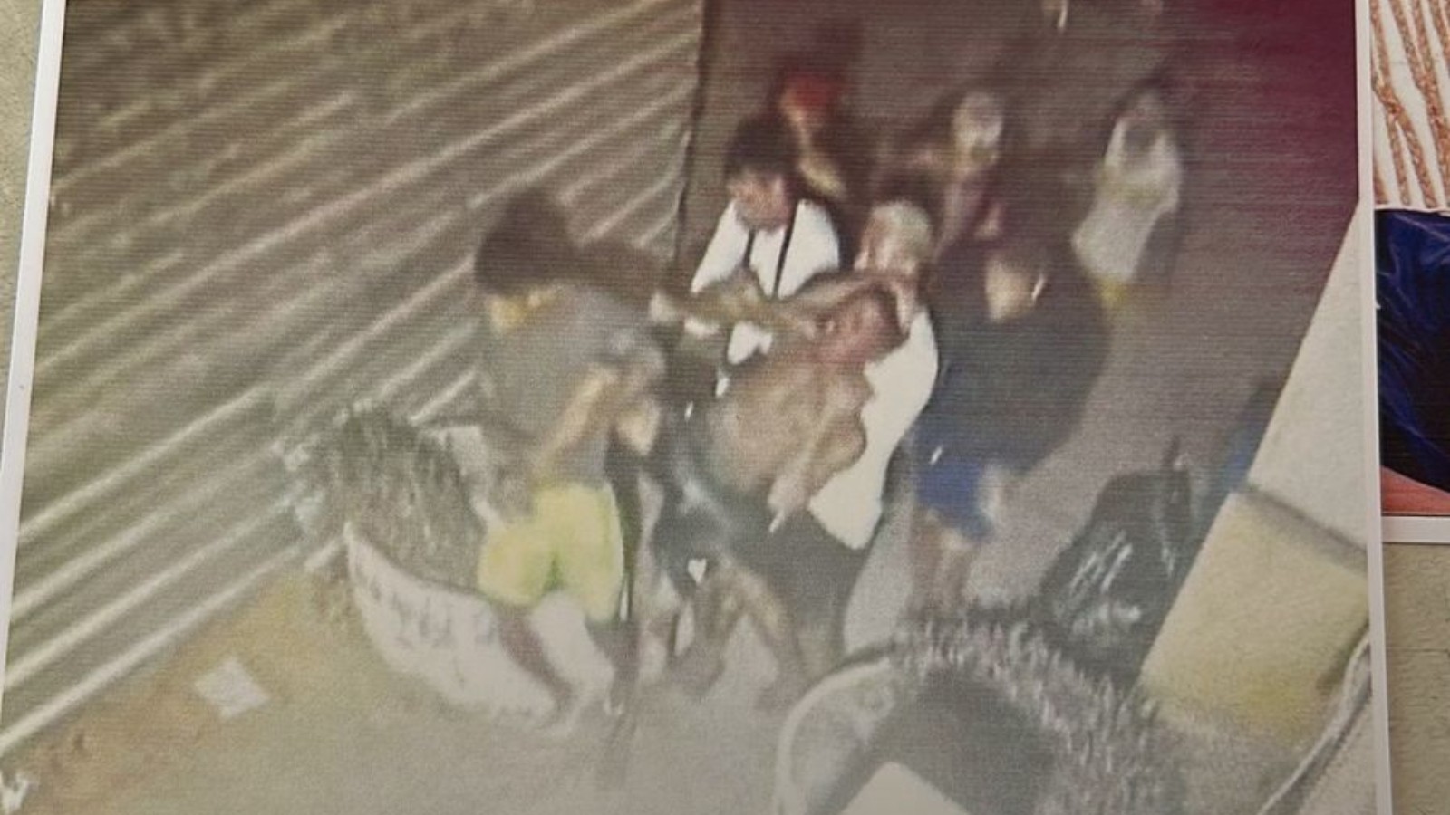 Polícia captura oitavo envolvido na morte de turista em Jericoacoara