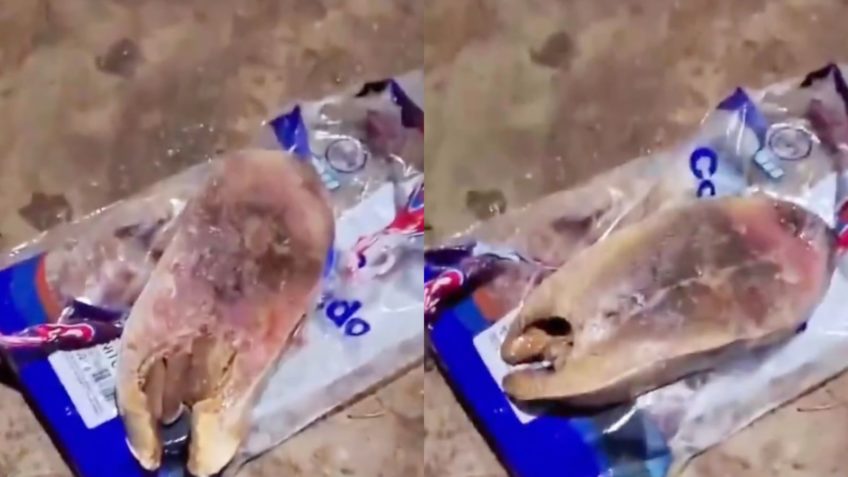 Prefeitura de Angicos responde a denúncias de peixe estragado