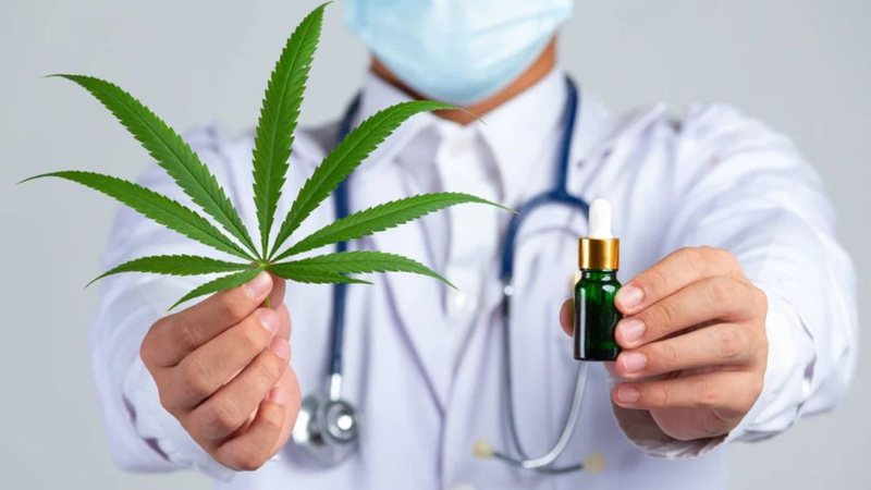Rio Grande do Norte regulamenta fornecimento de cannabis medicinal pelo SUS
