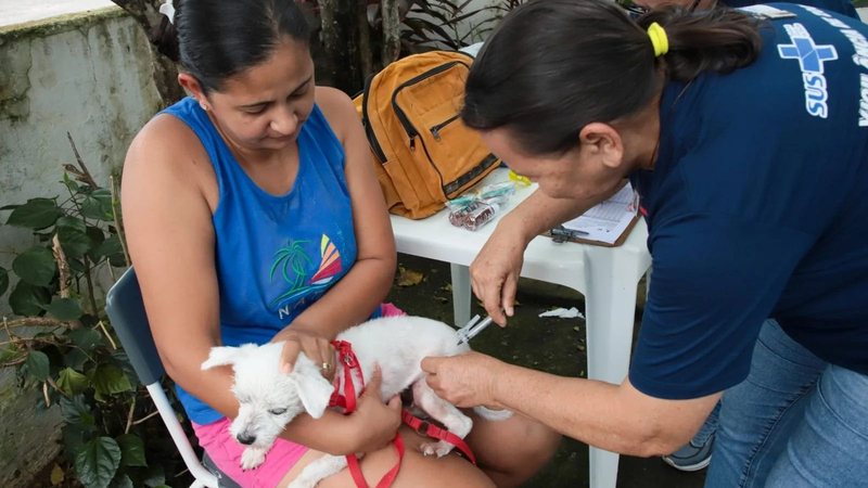 Prefeitura de Natal amplia Campanha de Vacinação Antirrábica