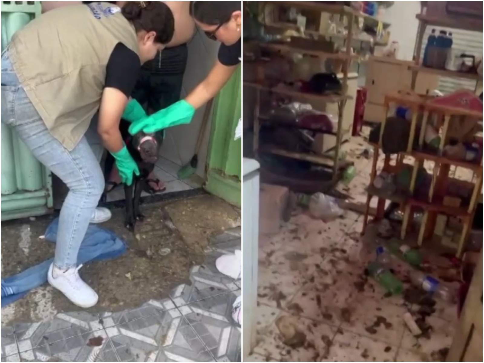 Vinte e cinco animais resgatados em situação de maus-tratos em Mossoró