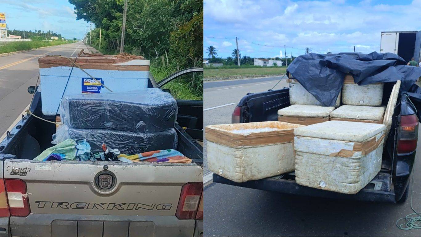 PRF apreende 250 kg de pescado irregular na BR-101 no RN