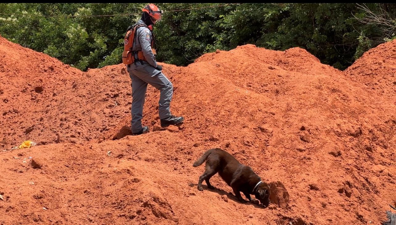 Julgamento na Alemanha avança sobre caso Brumadinho e possível responsabilidade da TÜV SÜD