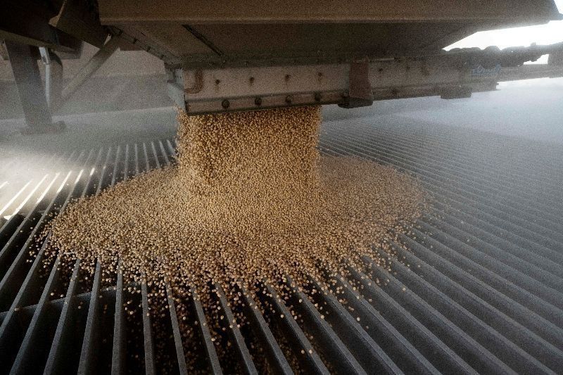 ABIOVE projeta processamento recorde de soja para 2026, com alta de 0,8%