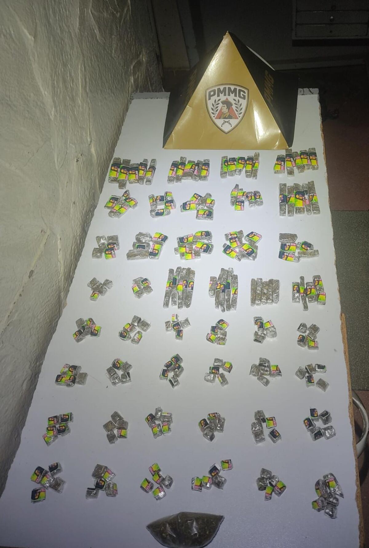 Polícia Militar apreende 220 tabletes de maconha com jovem