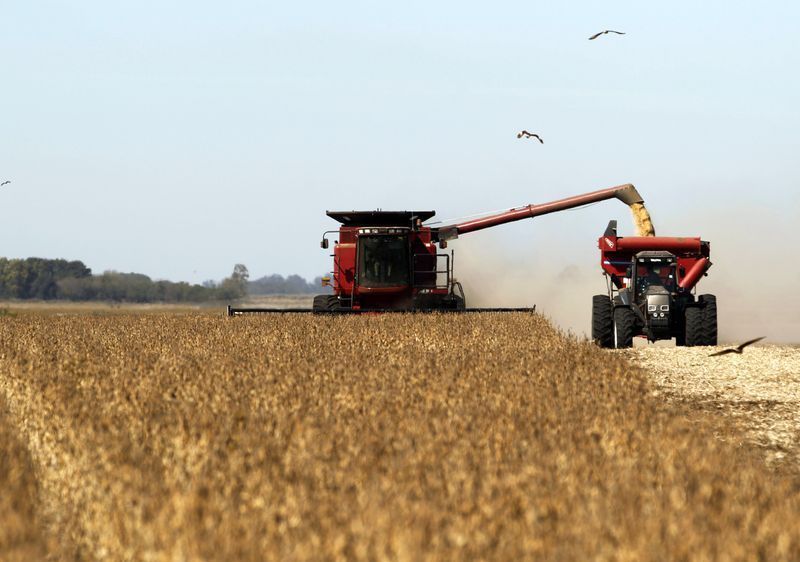 Produtores rurais na Argentina restringem vendas de soja apesar de preços em alta