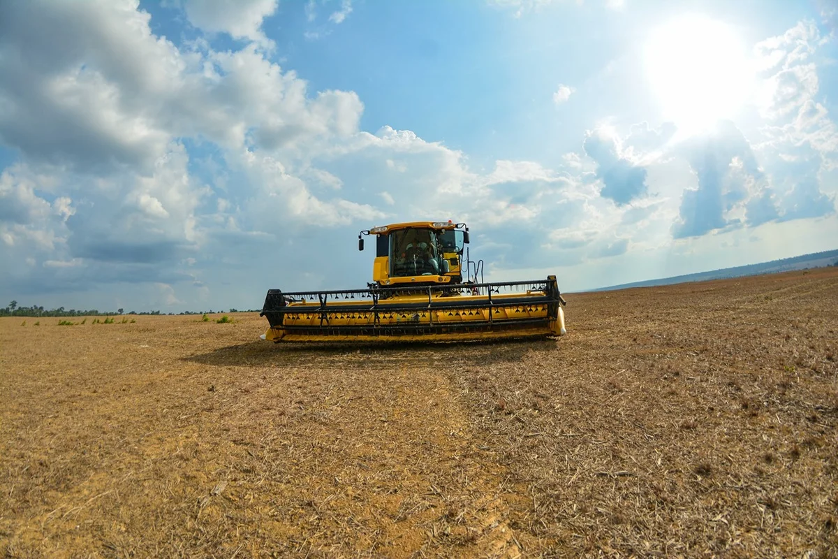 Agropecuária avança e vegetação nativa encolhe no Brasil em 41 anos