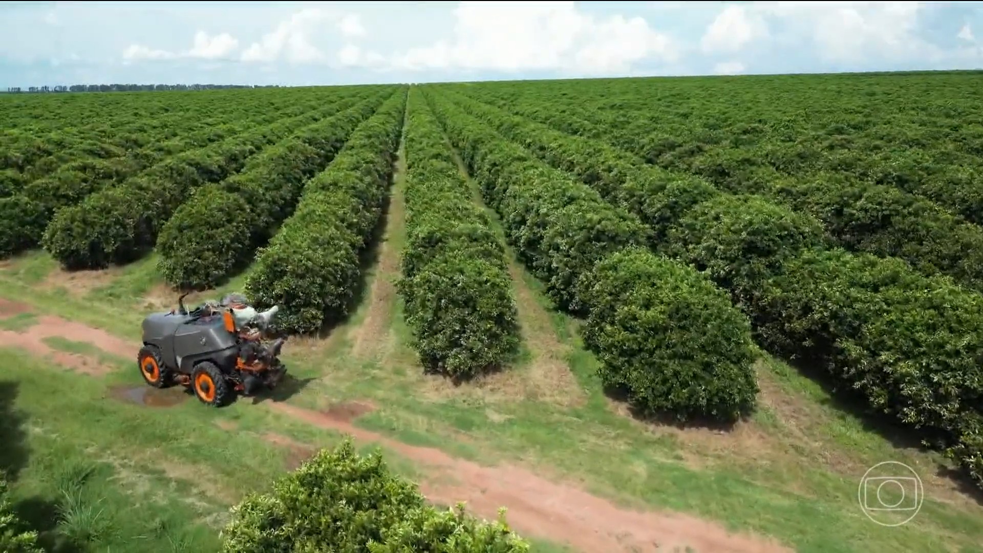 Agronegócio bate recorde histórico de vagas e Cepea destaca diversificação